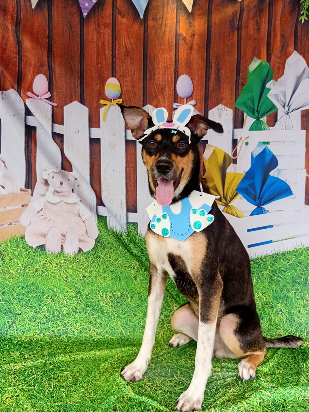 Foto do banho de Nescau