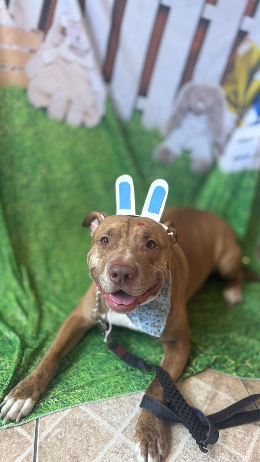 Foto do banho de Zeus