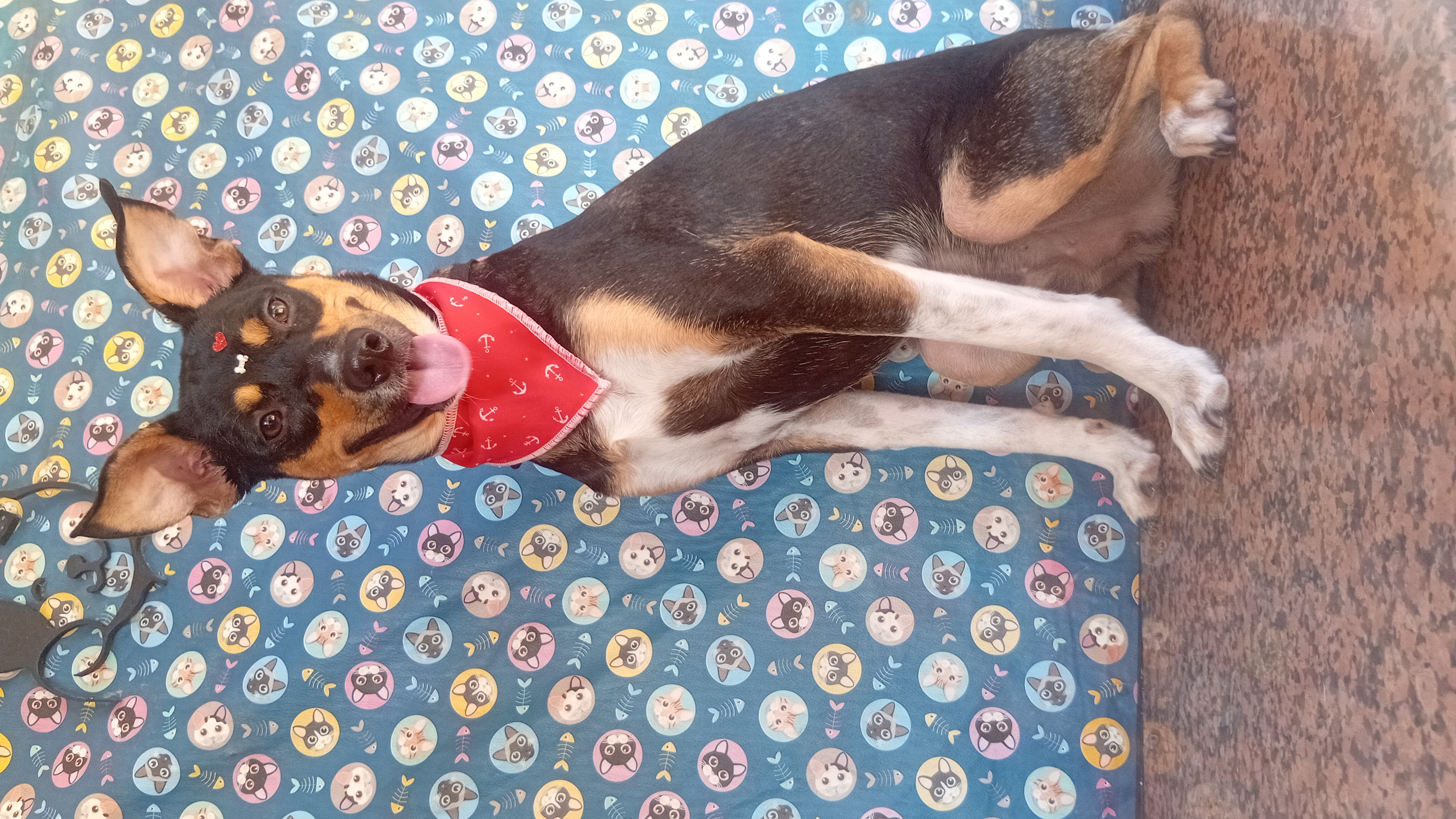 Foto do banho de Nescau