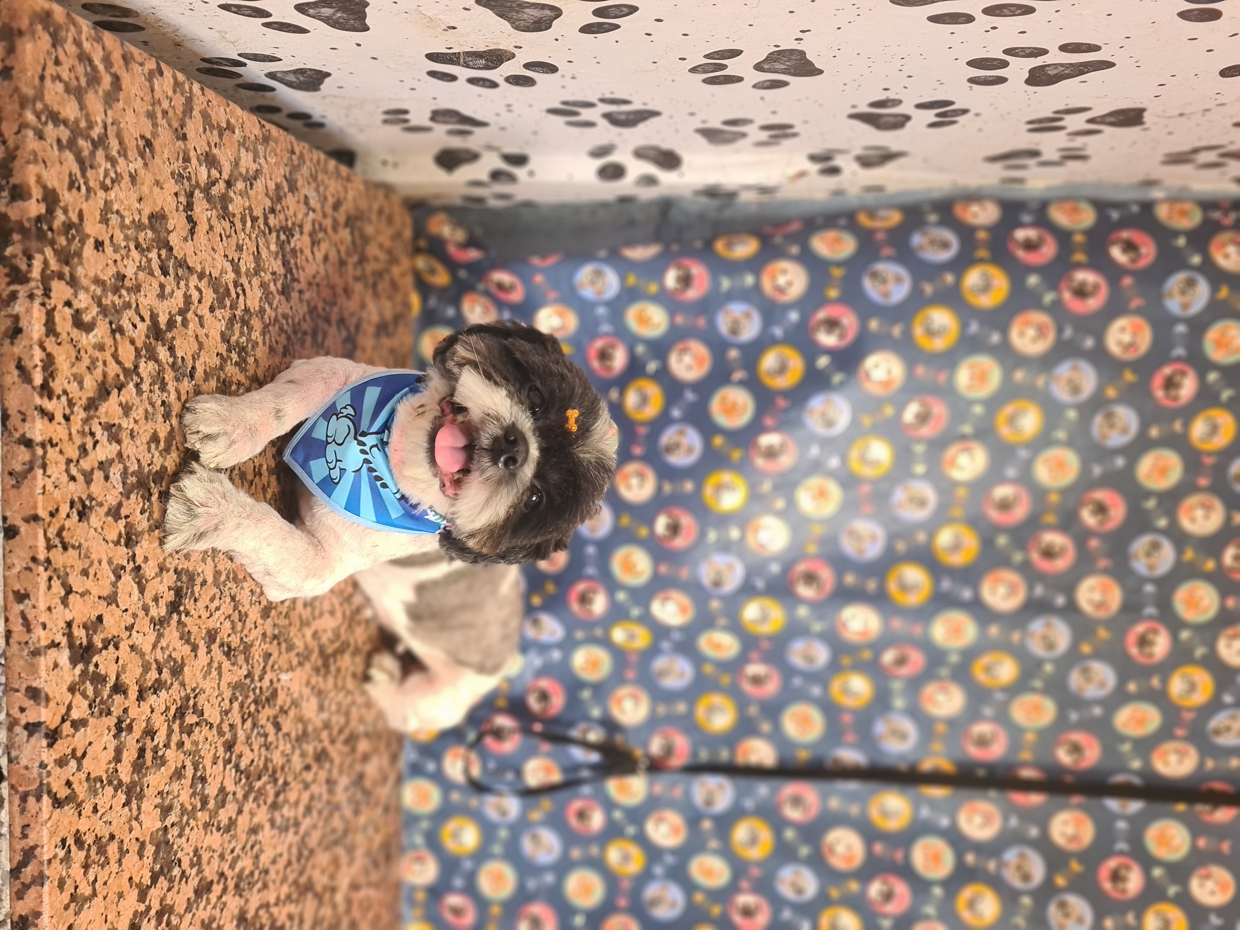 Foto do banho de Rael